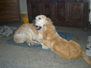 DSCN13030002.jpg