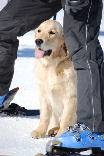 DSC_00030001.jpg