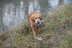 Dsc_7068.jpg