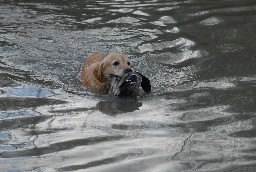 Dsc_7078.jpg