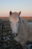Dsc_7194.jpg