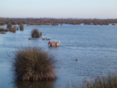 Hpim0744.jpg