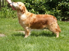 Tzara 7 ans