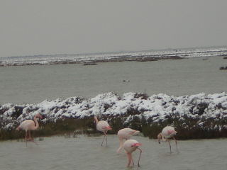 RSCN05530008.jpg