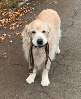 Cody15j..jpg Cody15j..jpg