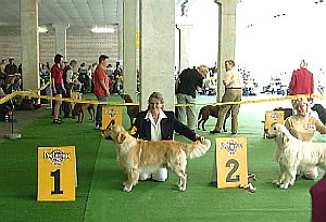Ch.Storm6Dortmund.jpg