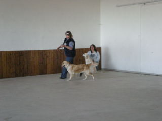 DSCN03340005.jpg