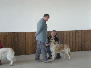 DSCN03370006.jpg