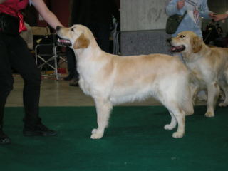 DSCN06250003.jpg