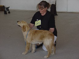 Dsc00013.jpg