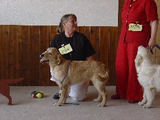 Dsc00034.jpg