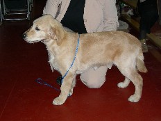 Dscn3128.jpg
