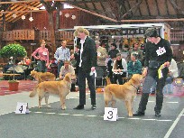 Dscn3159.jpg