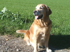 Hpim0590.jpg