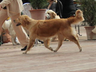 IMG_49320001.jpg