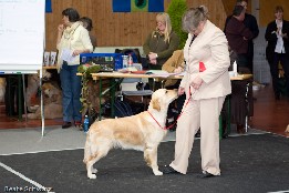 IMG_9405.jpg