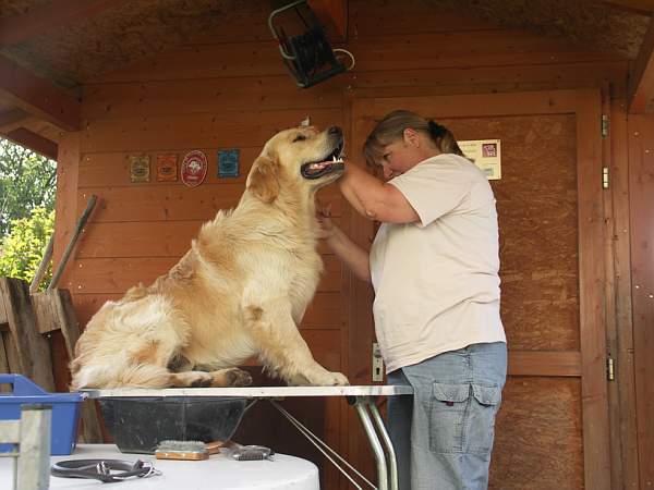 yukon of high hopes
