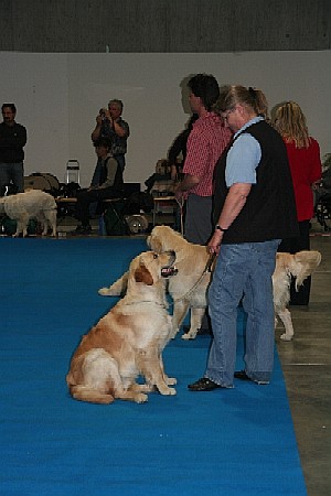 yasaschaExpo-st-gall-06-005.jpg