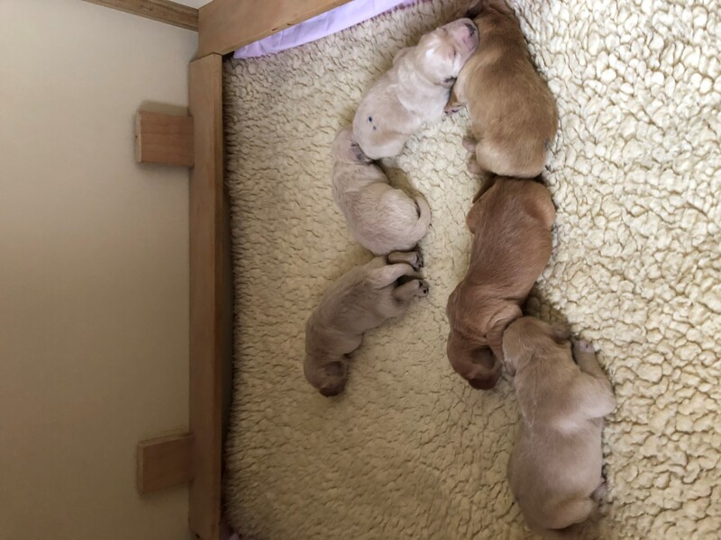 busy4.jpg