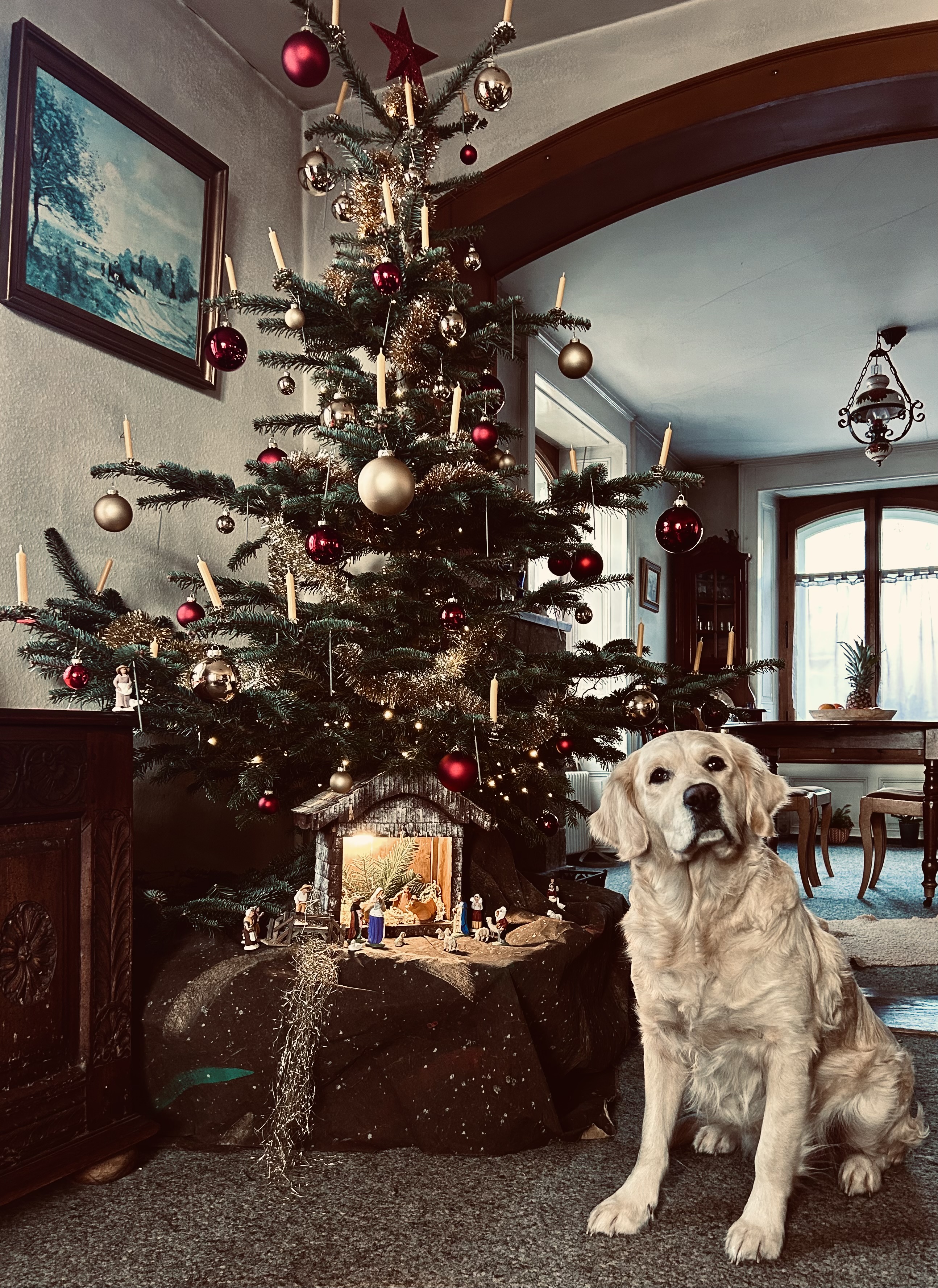 noel22024.jpg