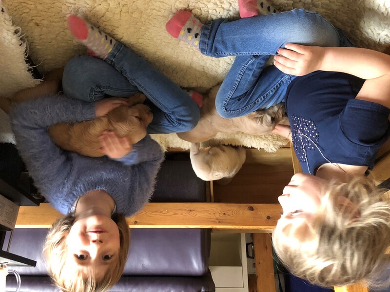 zoelea.jpg